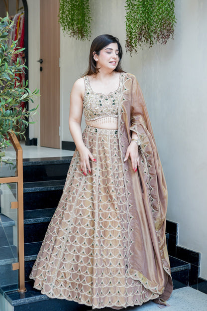Ahilya Beige Hand Embroidered Lehenga