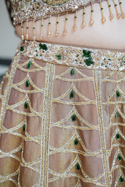 Ahilya Beige Hand Embroidered Lehenga
