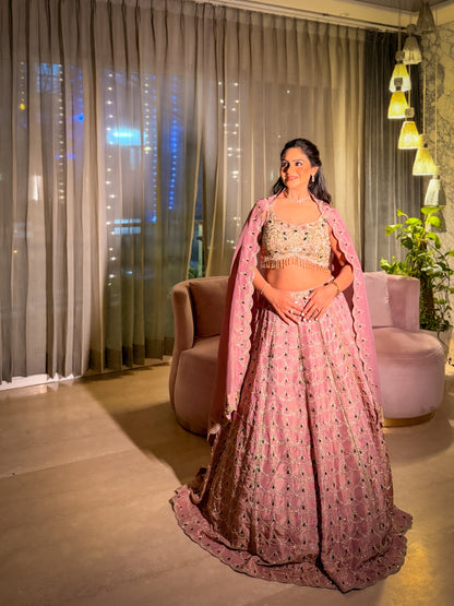 Ahilya Pink Hand Embroidered Lehenga
